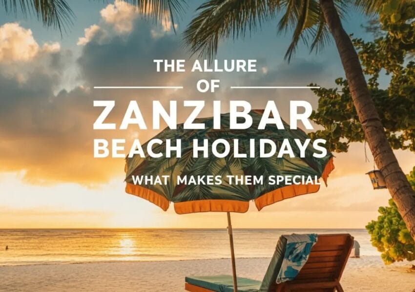 Whatsapp image 2024 10 19 at 00.09.00 b9fb3571