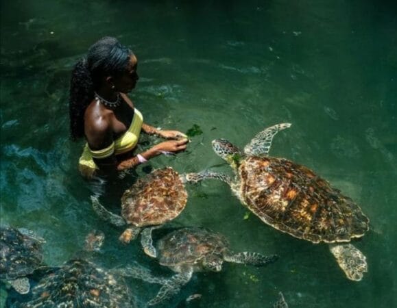 Baraka aquarium adventure 03