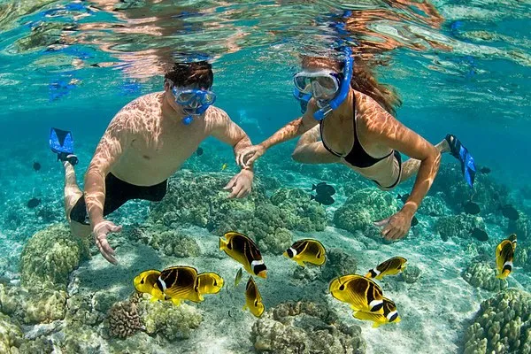 Mnemba island snorkeling 01