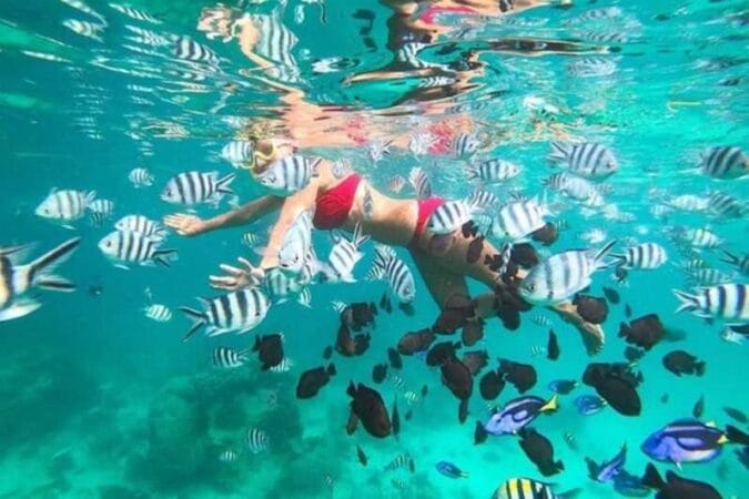 Mnemba island snorkeling 03
