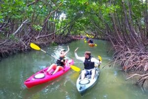 Zanzibar Mangroves Kayak Tour